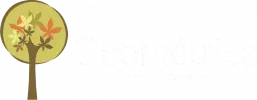 geometrica-moveis-logo